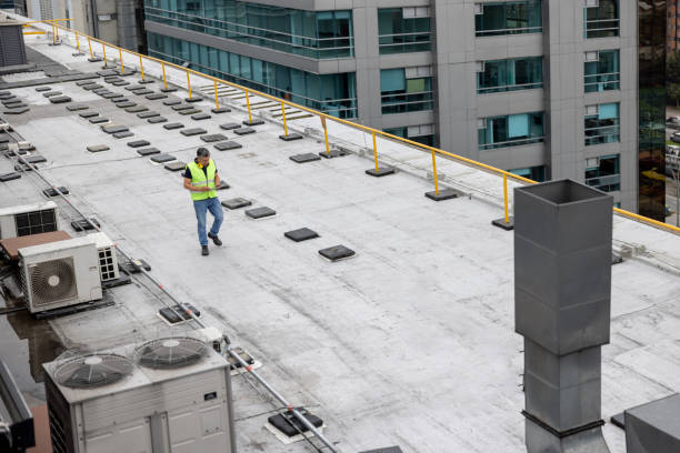 Best Rubber Roofing (EPDM, TPO)  in Flushing, MI
